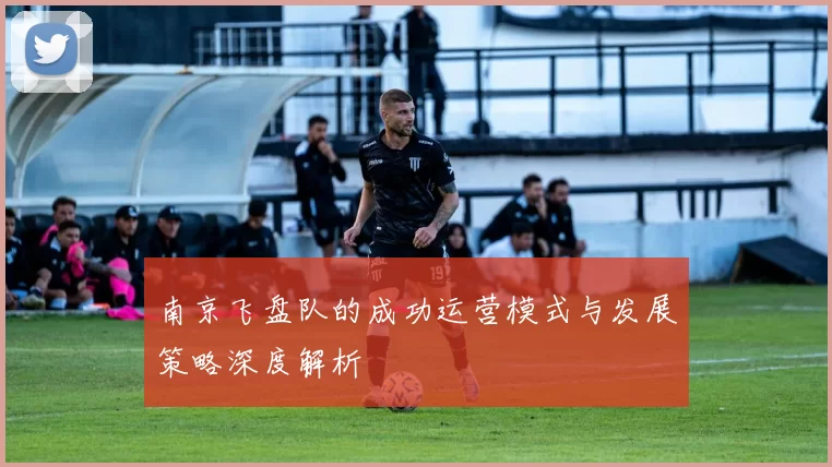 南京飞盘队的成功运营模式与发展策略深度解析