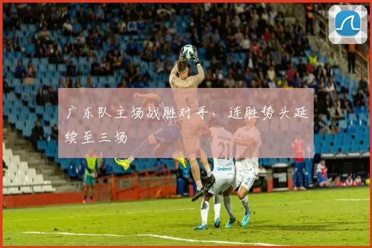 广东队主场战胜对手,连胜势头延续至三场