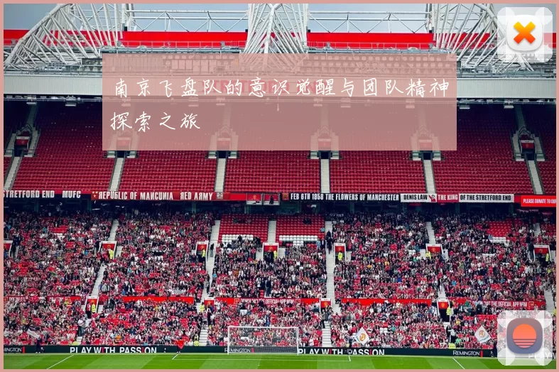 南京飞盘队的意识觉醒与团队精神探索之旅