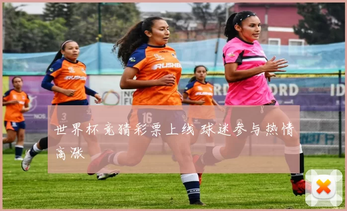 世界杯竞猜彩票上线 球迷参与热情高涨