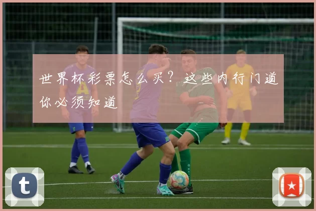 世界杯彩票怎么买？这些内行门道你必须知道
