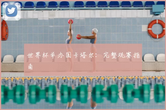 世界杯举办国卡塔尔：完整观赛指南