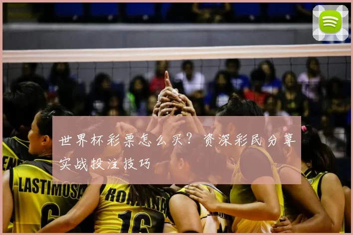世界杯彩票怎么买？资深彩民分享实战投注技巧