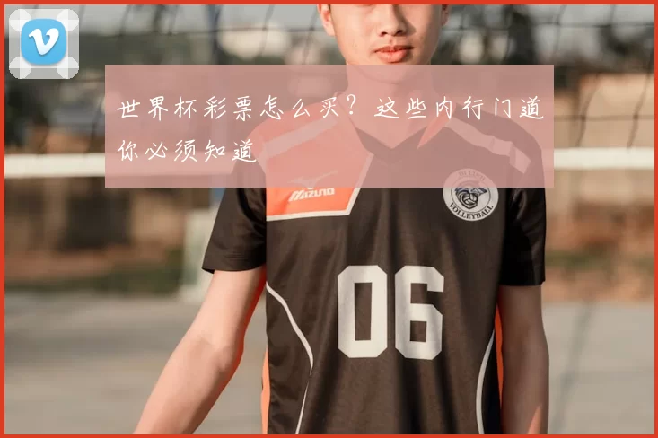 世界杯彩票怎么买?这些内行门道你必须知道