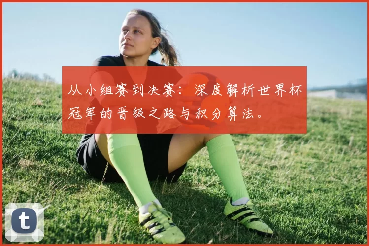 从小组赛到决赛:深度解析世界杯冠军的晋级之路与积分算法。
