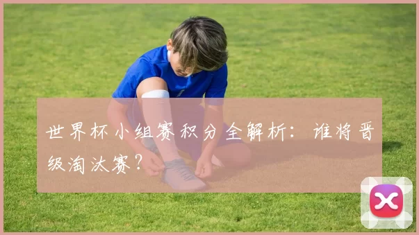 世界杯小组赛积分全解析：谁将晋级淘汰赛？