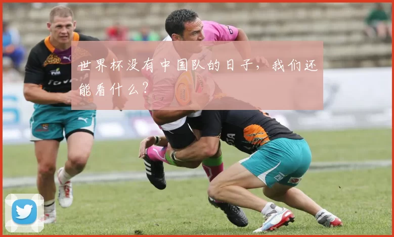 世界杯没有中国队的日子，我们还能看什么？