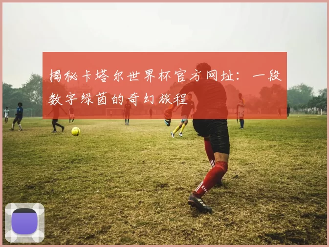 揭秘卡塔尔世界杯官方网址:一段数字绿茵的奇幻旅程