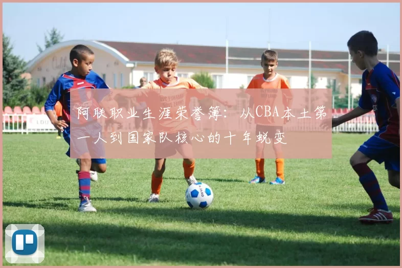 阿联职业生涯荣誉簿：从CBA本土第一人到国家队核心的十年蜕变