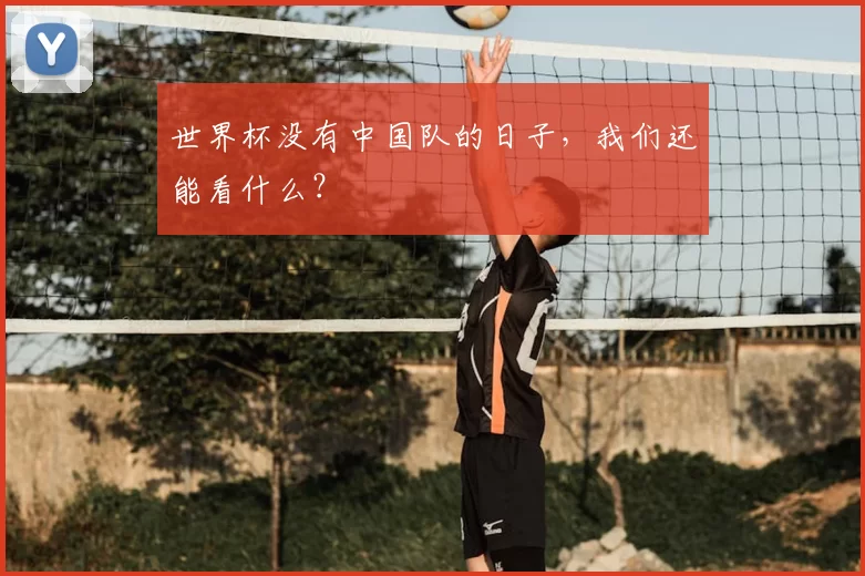 世界杯没有中国队的日子，我们还能看什么？